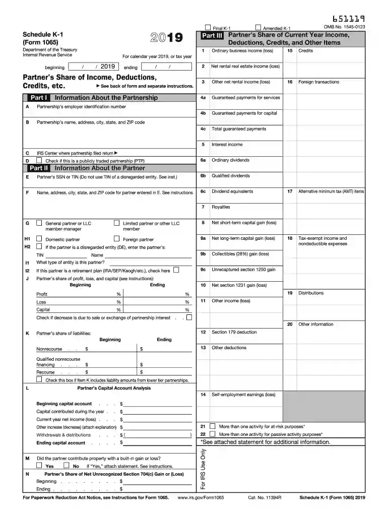 form k 1 2019 Preview on Page 1