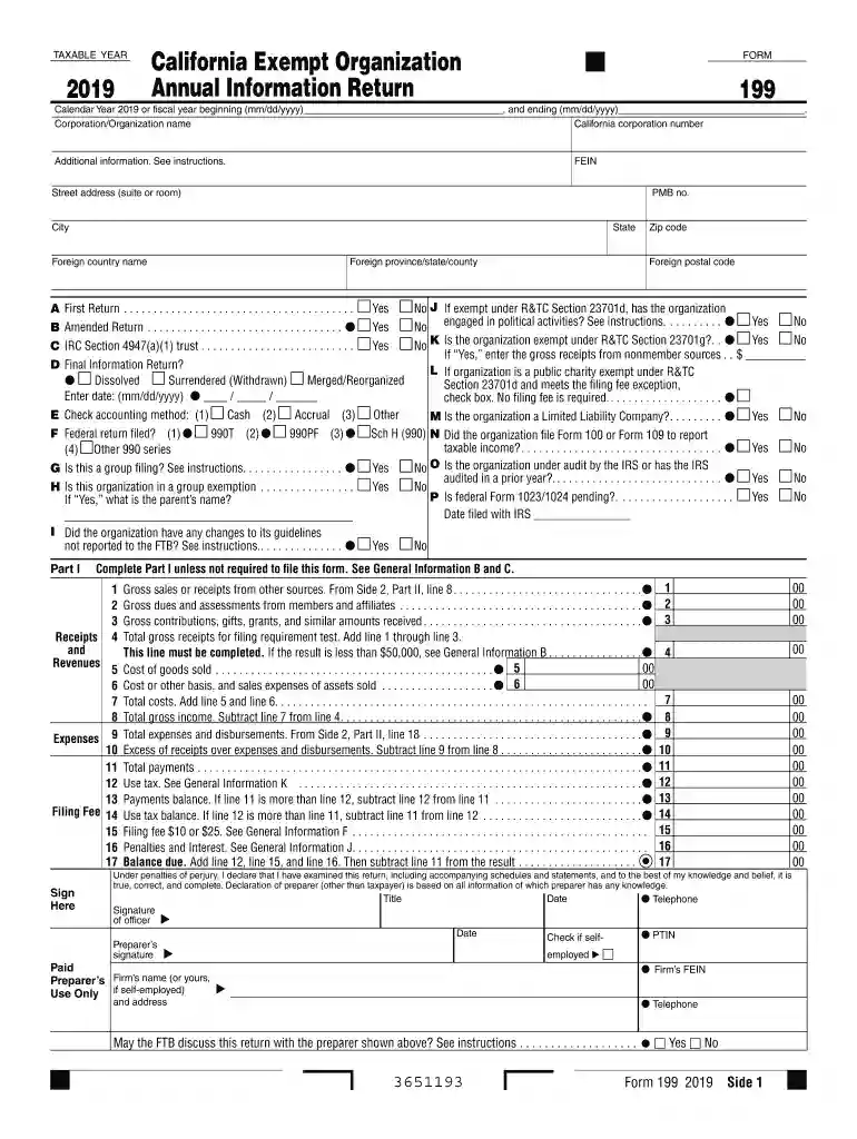 form 199 Preview on Page 1
