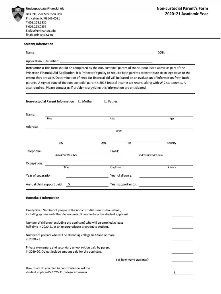 princeton noncustodial form Preview on Page 1