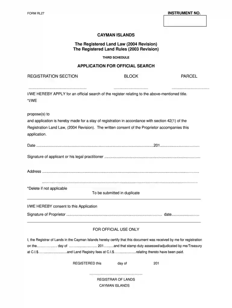 cayman passport renewal form Preview on Page 1