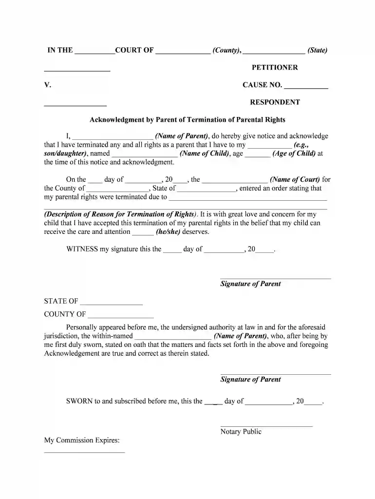 termination of parental rights ohio form Preview on Page 1