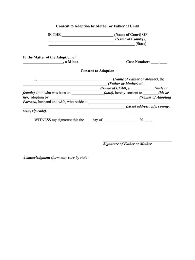 adoption child form Preview on Page 1