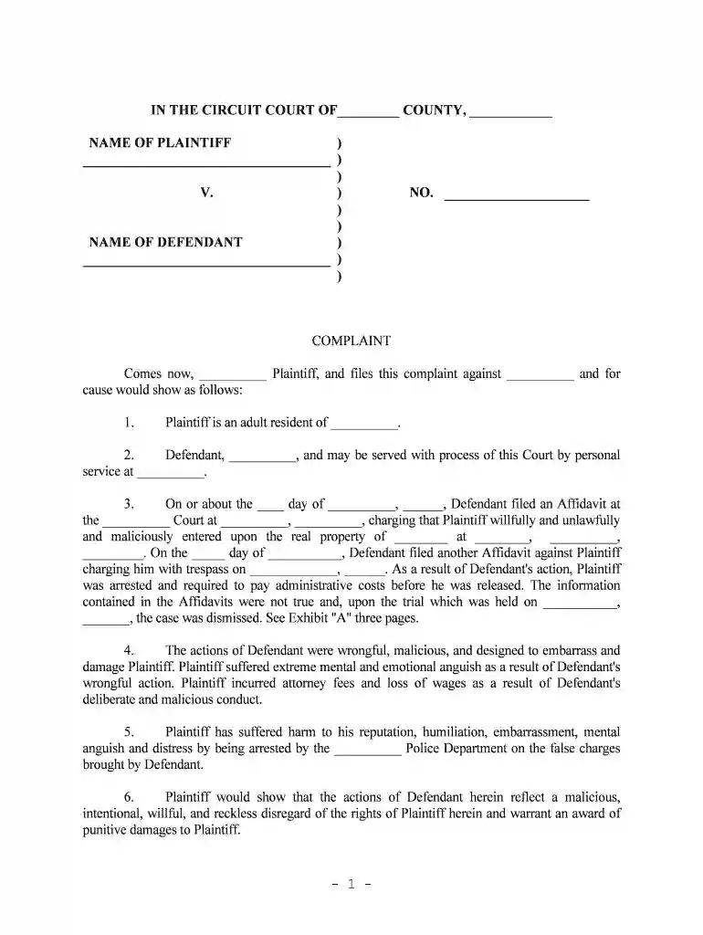 examples of a civil complaint Preview on Page 1