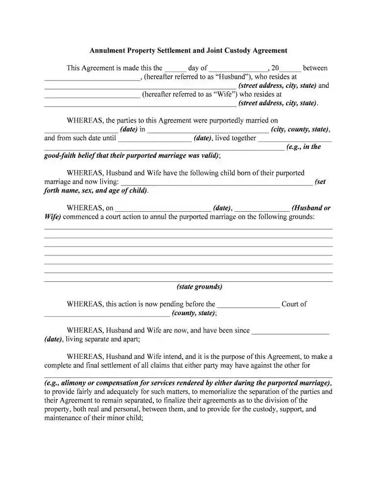 joint custody Preview on Page 1