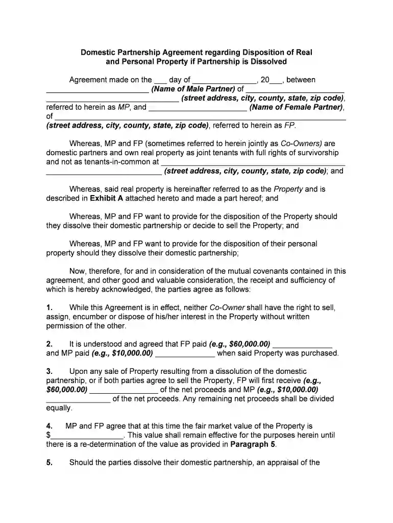 domestic partnership Preview on Page 1