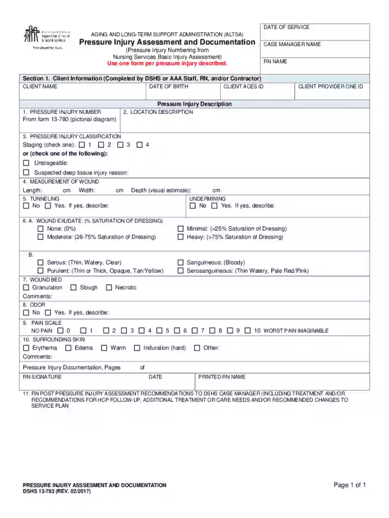 Pressure Injury Assessment Form Preview on Page 1