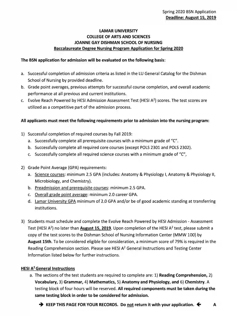 Baccalaureate Degree Nursing Program Application for Spring 2020 Preview on Page 1