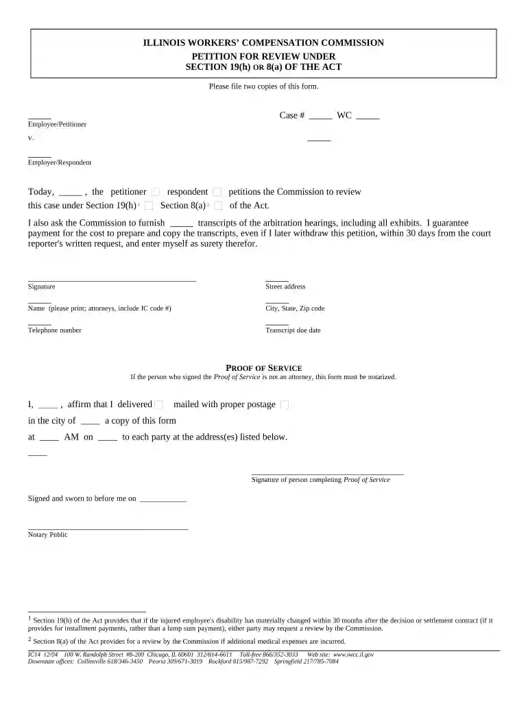illinois petition review Preview on Page 1
