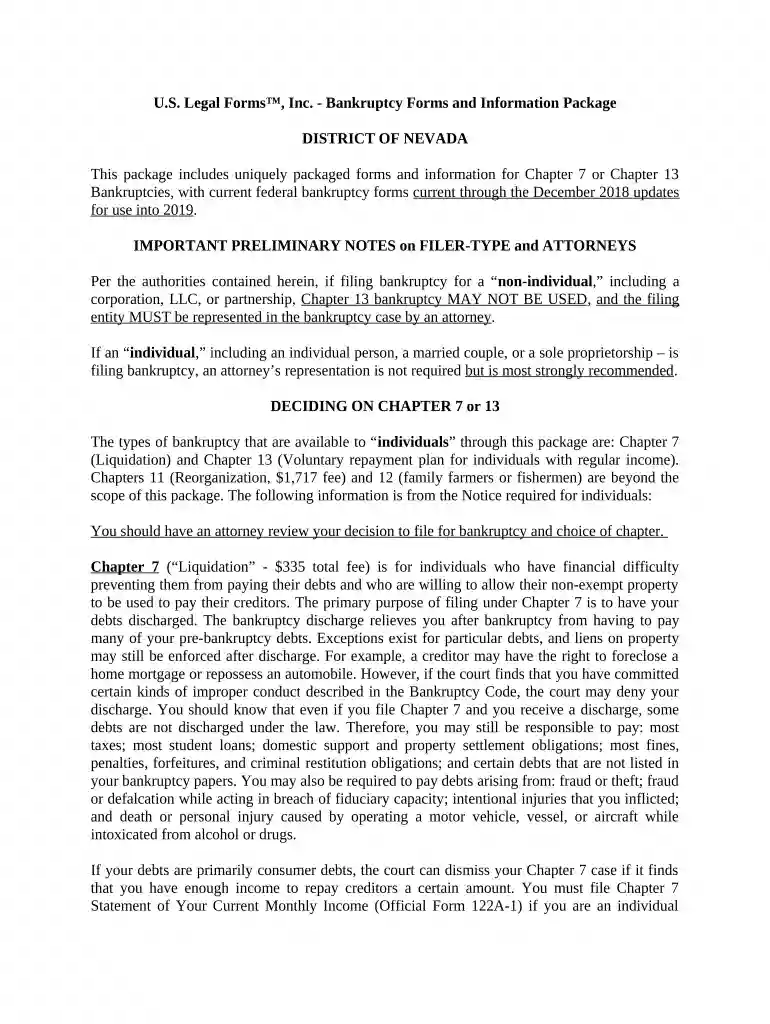 nevada bankruptcy Preview on Page 1
