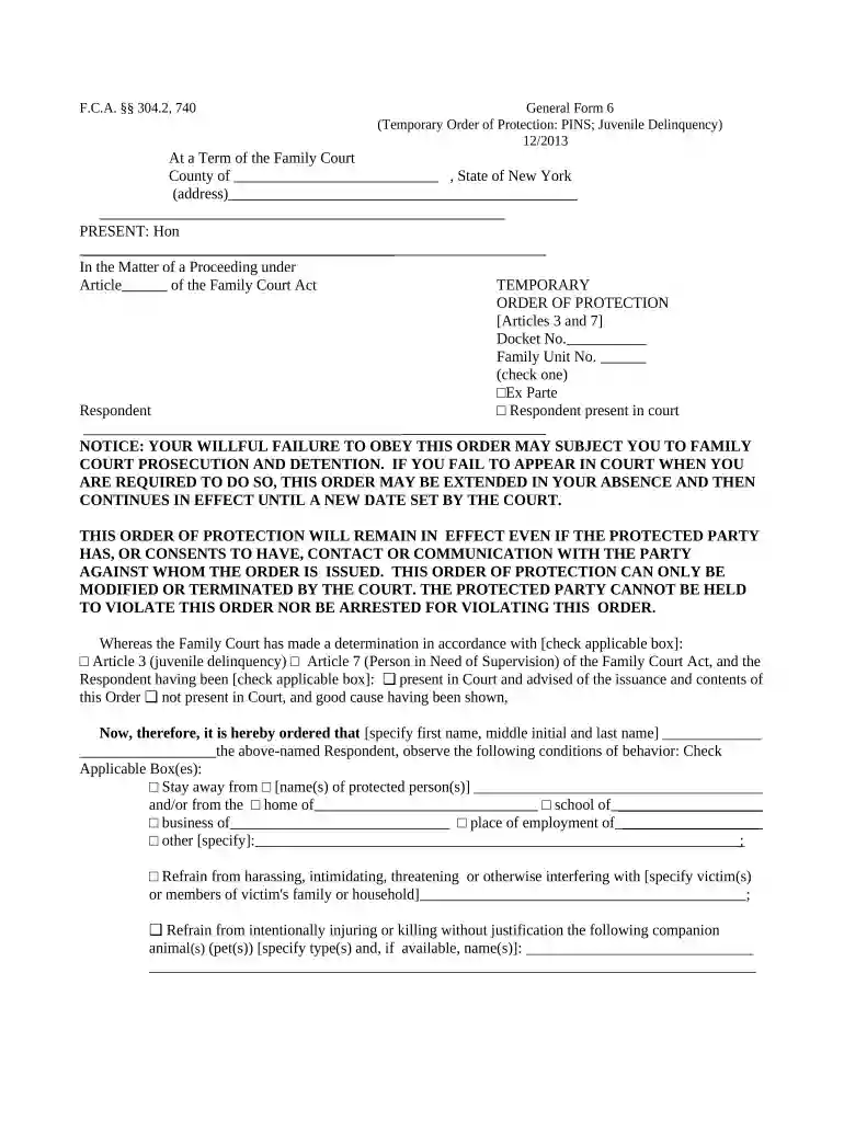 new york order protection Preview on Page 1