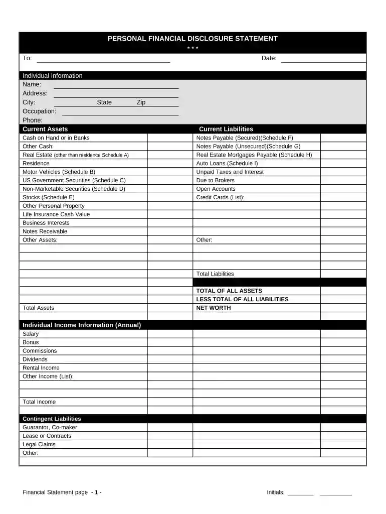 financial statement form Preview on Page 1