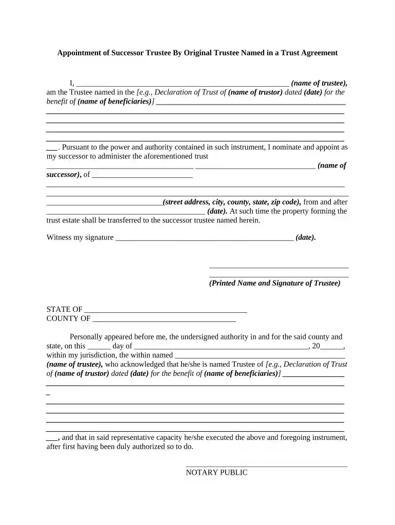 appointment of successor trustee form Preview on Page 1