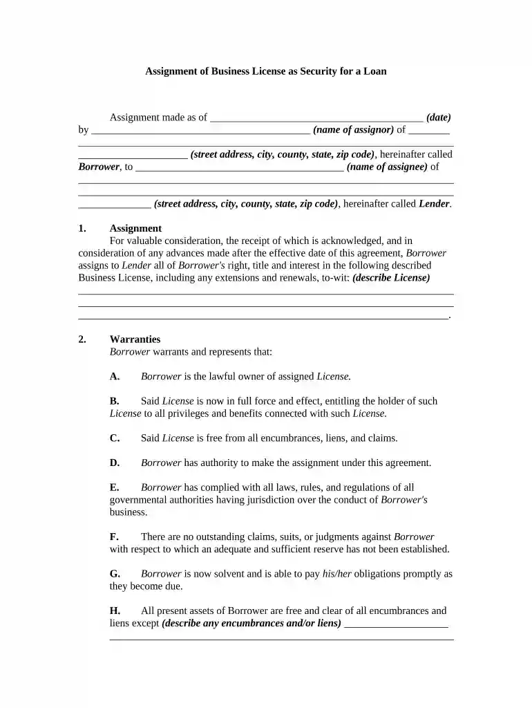 business license Preview on Page 1