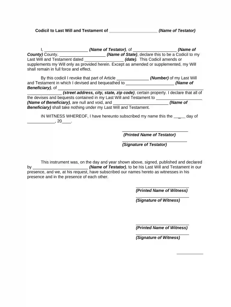 where can i buy a codicil form Preview on Page 1