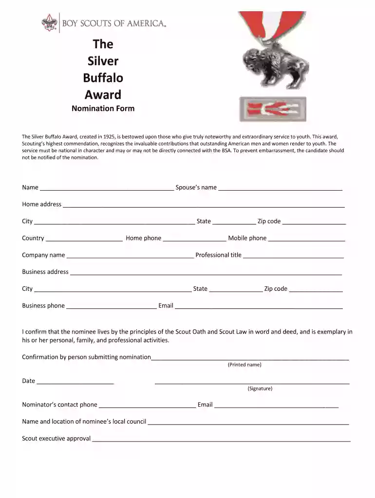 The Silver Buffalo Award - Boy Scouts of America - ntier Preview on Page 1