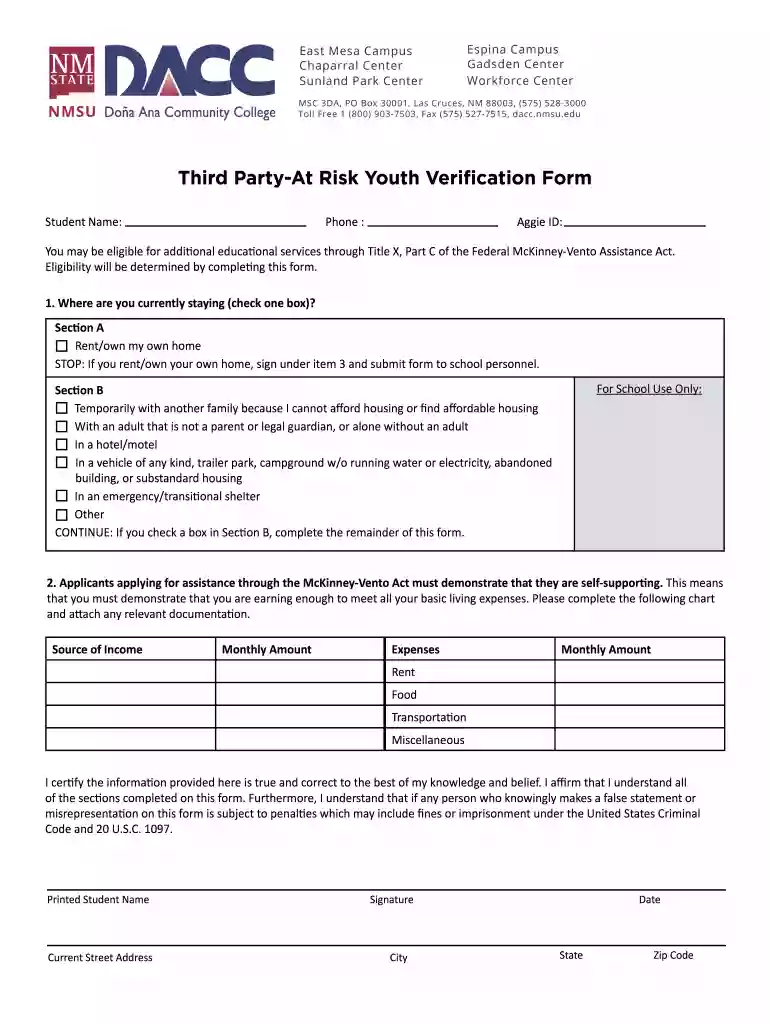 Third Party-At Risk Youth Verification Form Preview on Page 1