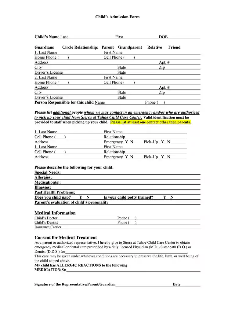 fillable 1003 Preview on Page 1