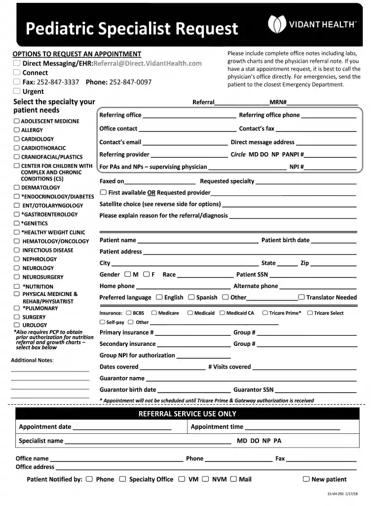 2019 vidant 15 vh 293 request Preview on Page 1