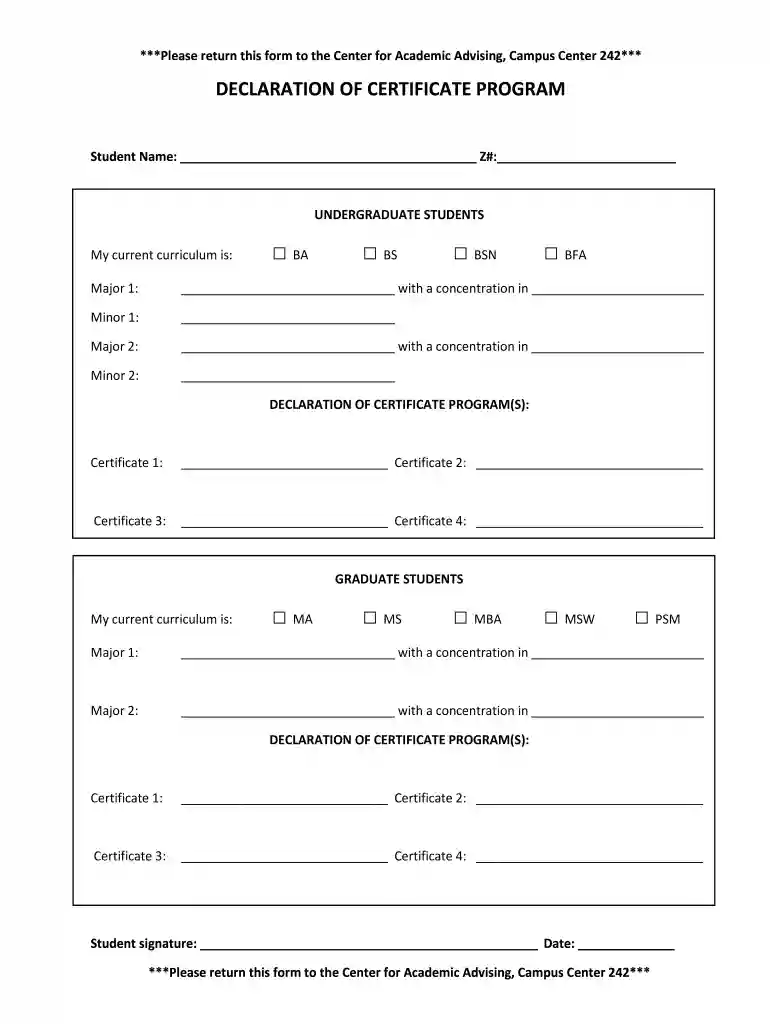 Program Minor Declaration Form Preview on Page 1