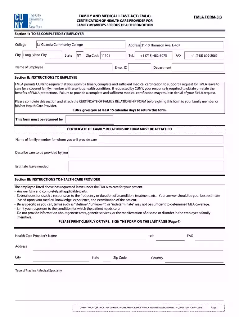 FMLA FORM-3 B Preview on Page 1