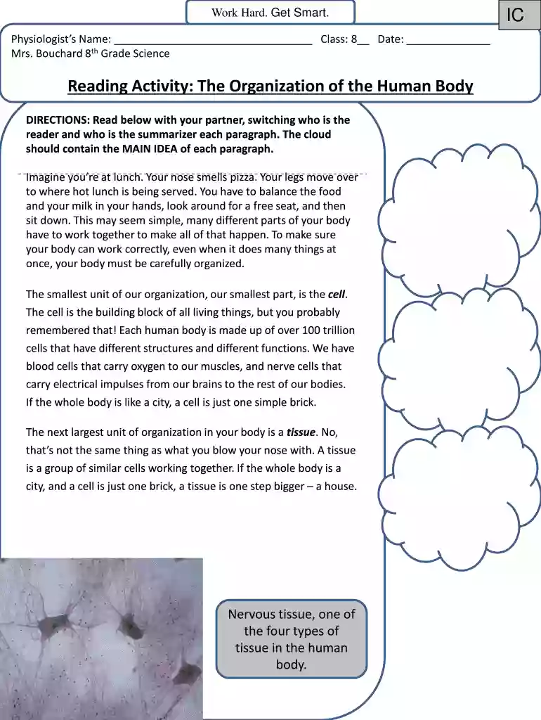 reading activity the organization of the human body answer key Preview on Page 1