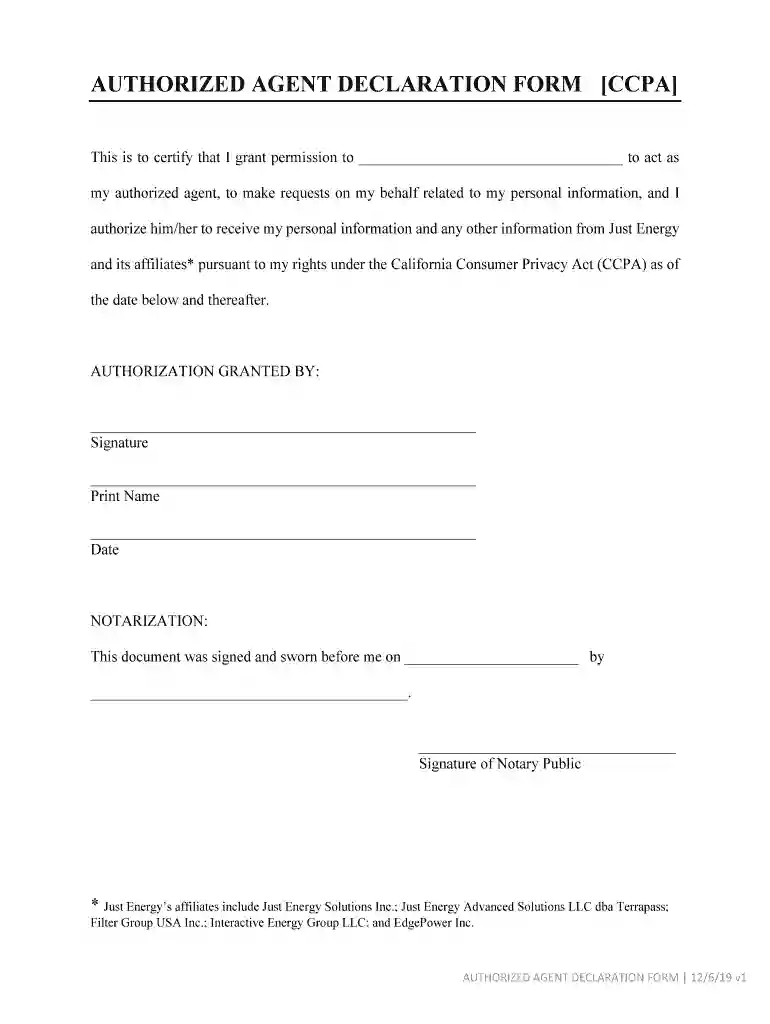 authorized agent declaration Preview on Page 1