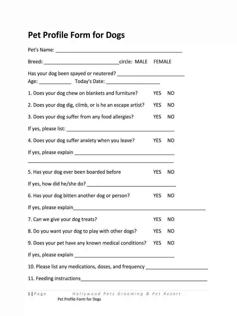 pet profile template Preview on Page 1