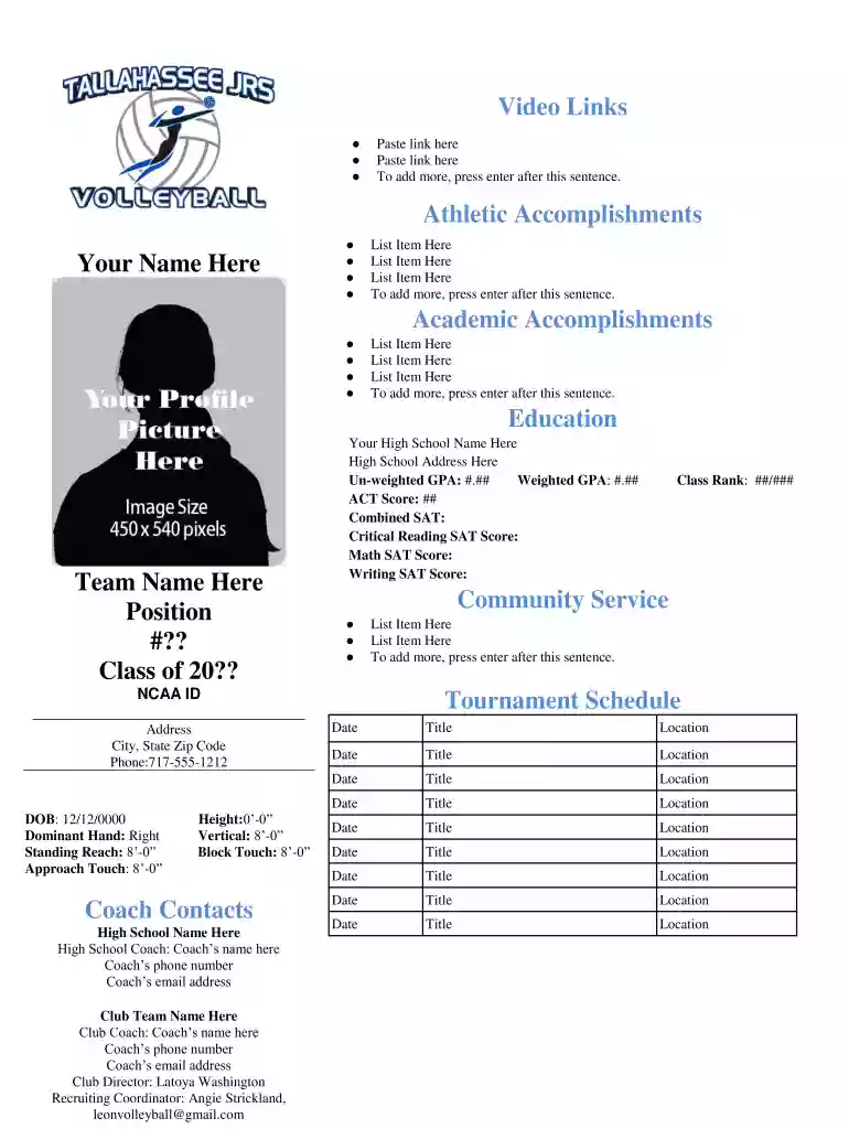 volleyball player profile template Preview on Page 1
