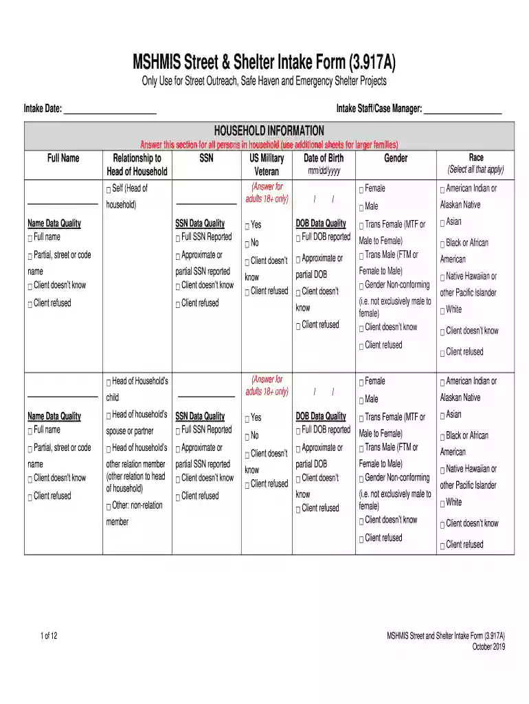 MSHMIS Street and Shelter Intake Form (3 Preview on Page 1