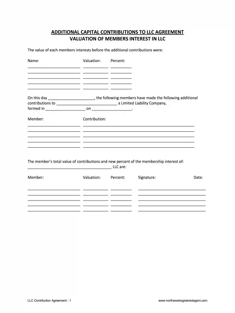 capital contribution agreement Preview on Page 1