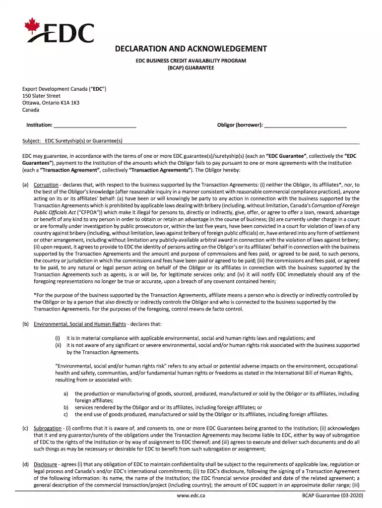 business credit availability program Preview on Page 1