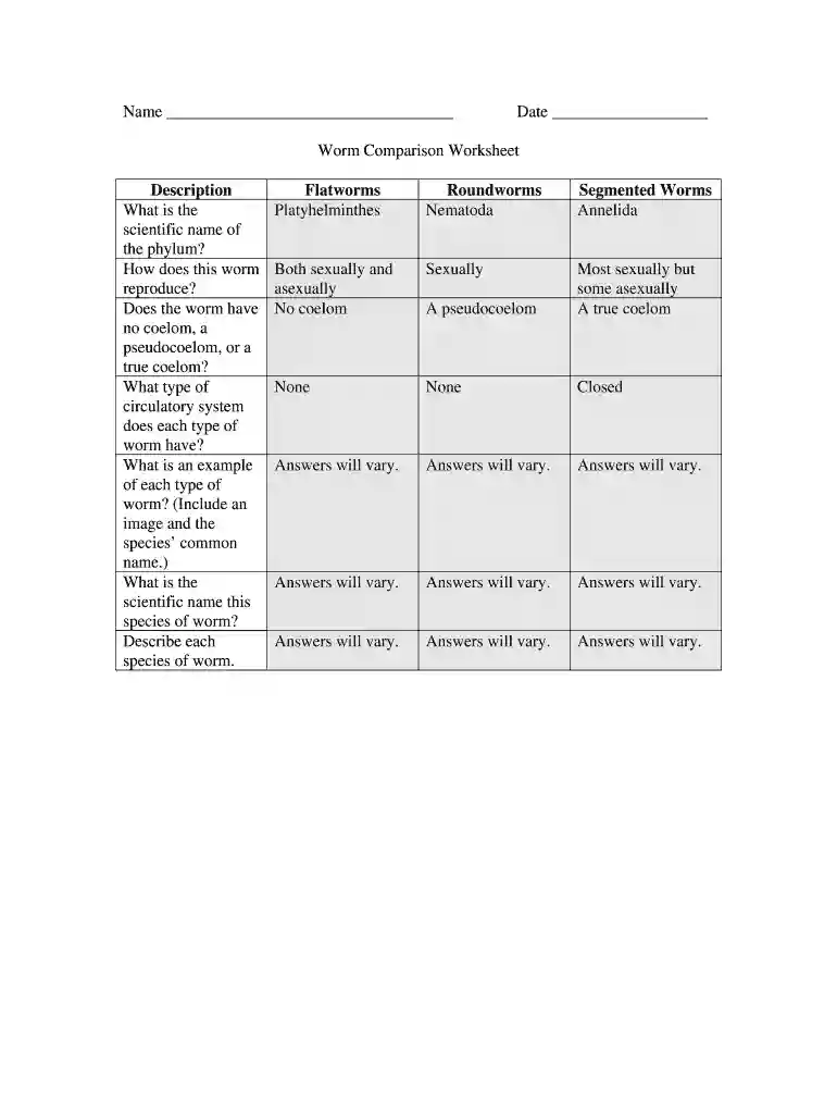 justice system comparison worksheet answers Preview on Page 1