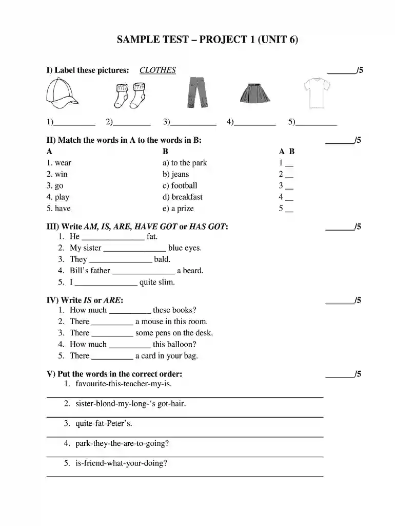 sample test project 1 Preview on Page 1