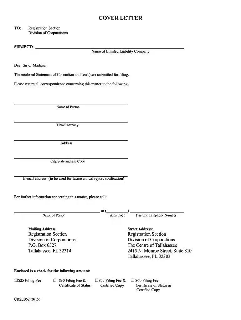 florida statement correction Preview on Page 1