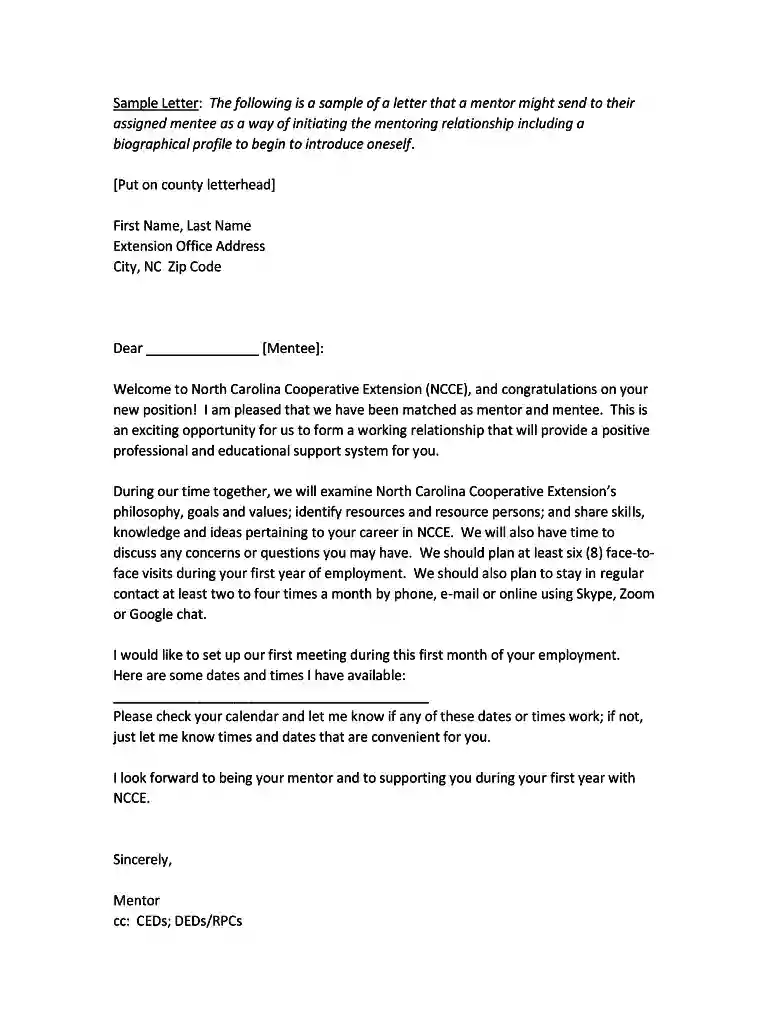 mentor introduction sample Preview on Page 1