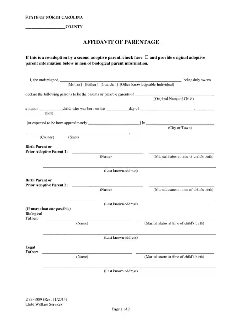 dss 1809 Preview on Page 1