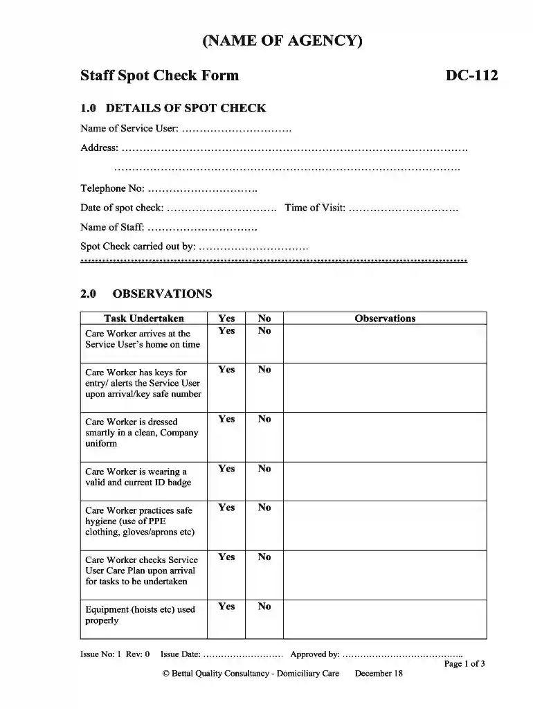spot check form template Preview on Page 1