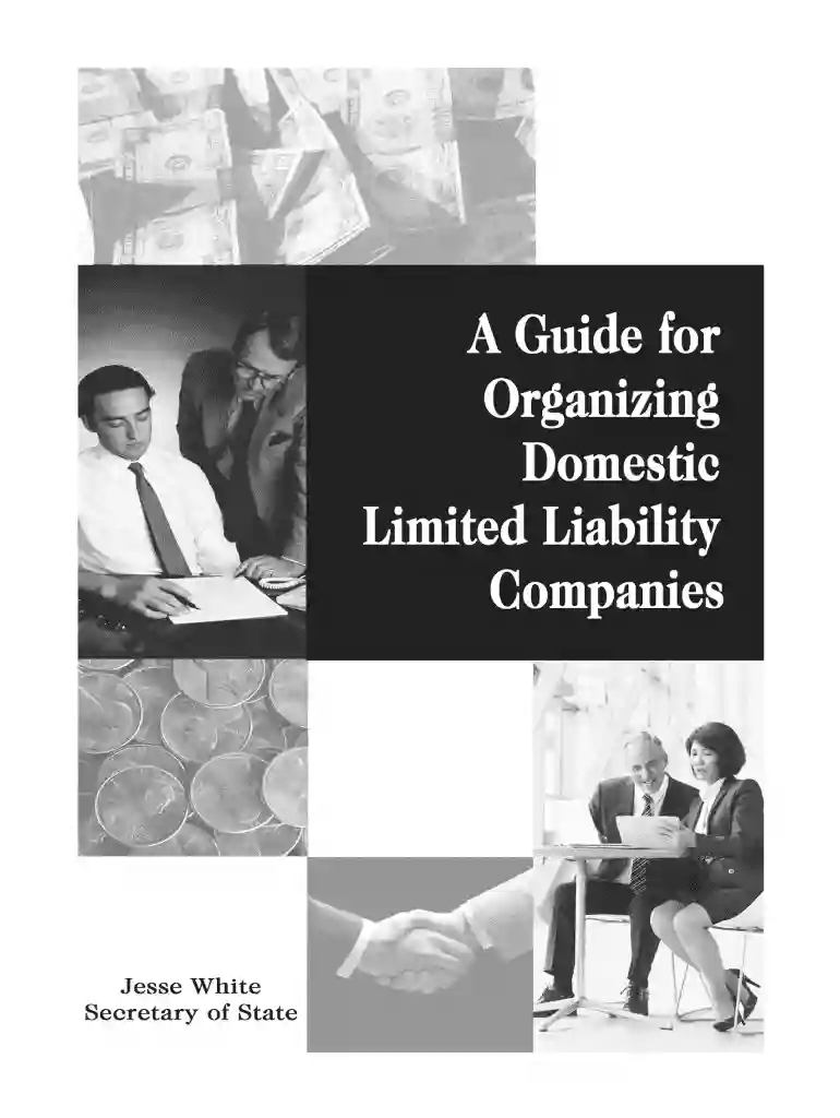 illinois domestic liability Preview on Page 1