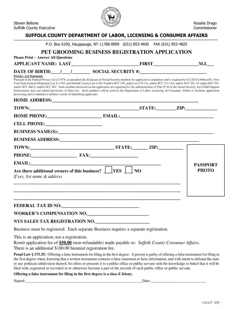 new york business registration Preview on Page 1