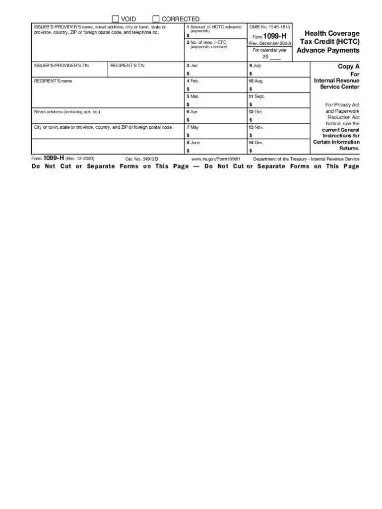 1099h Preview on Page 1
