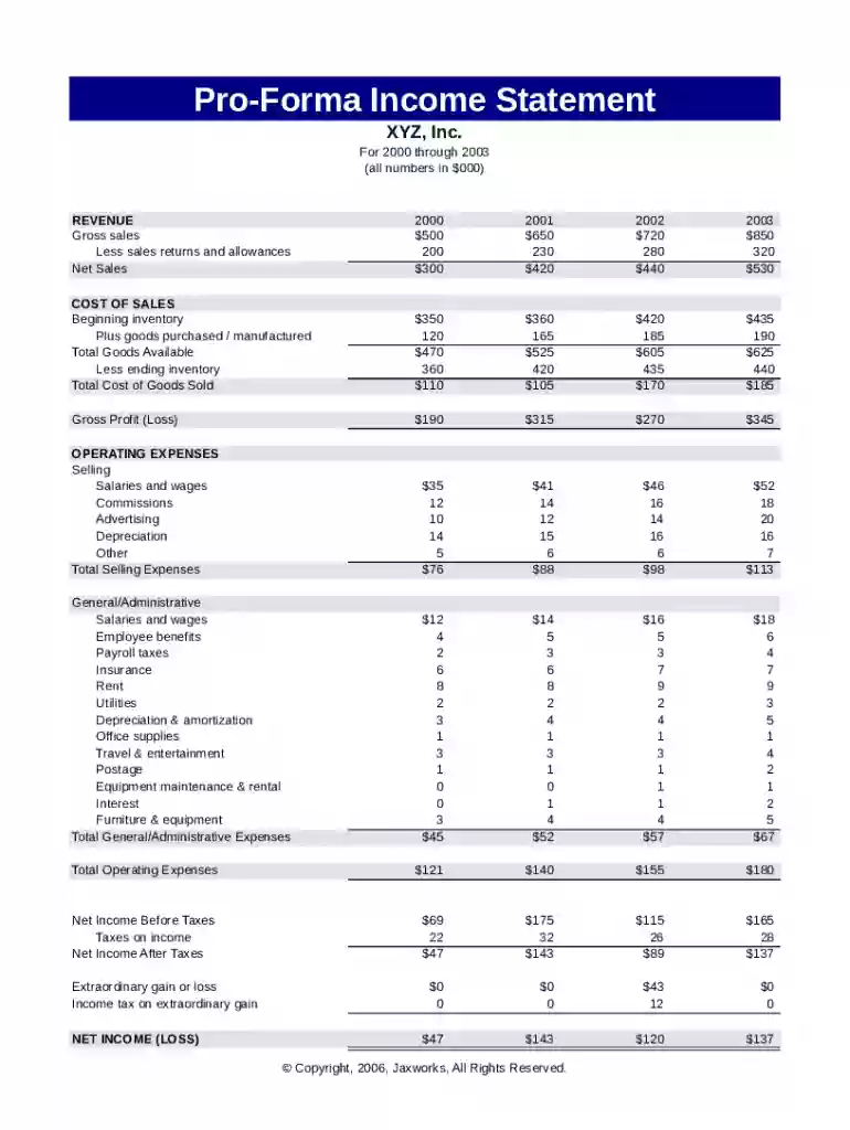 pro forma income statement template Preview on Page 1