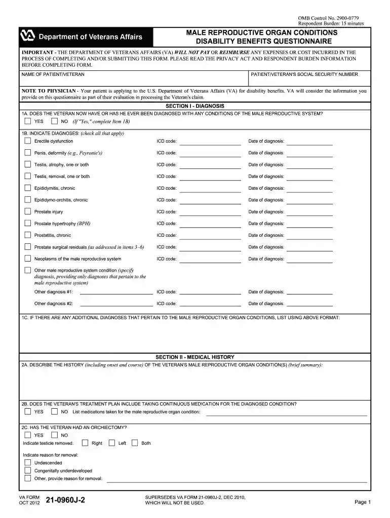 va from 21 0960j 2 form Preview on Page 1
