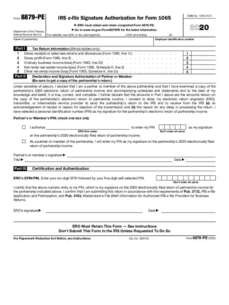 form 8879 pe Preview on Page 1