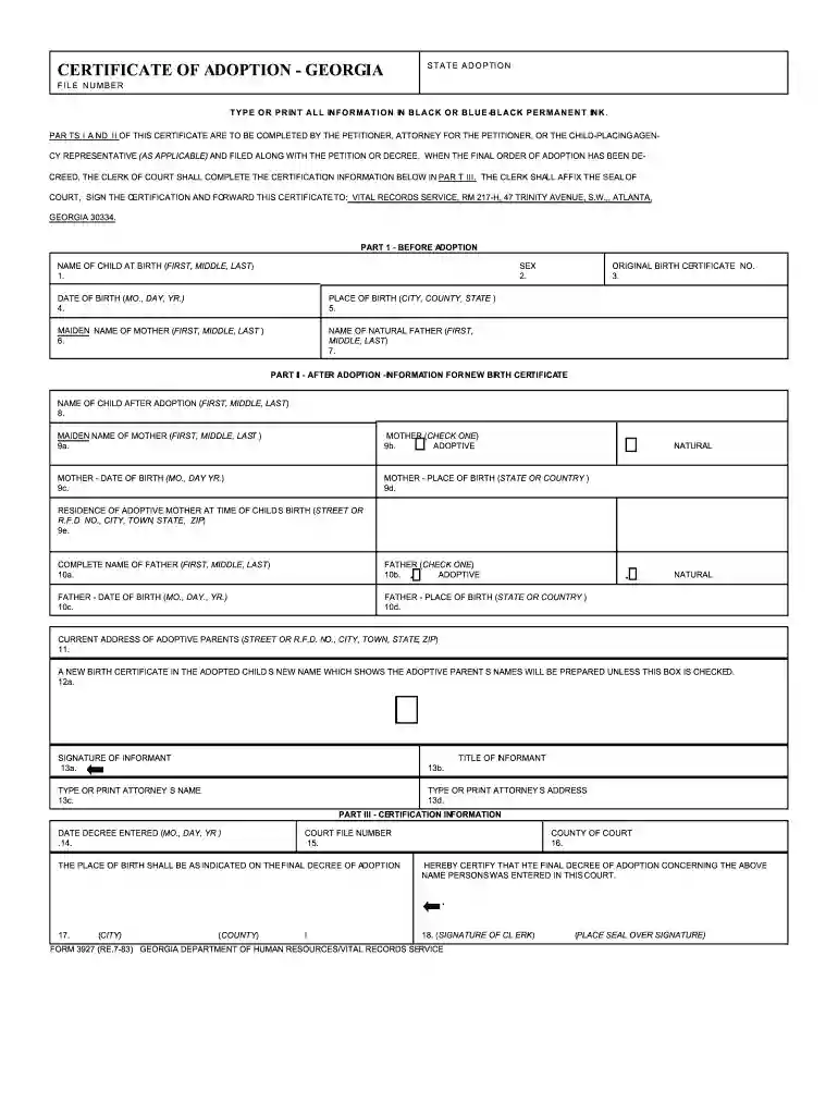 how to file adoption papers myself in georgia Preview on Page 1