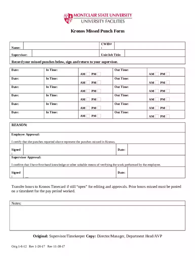 Missed Punch Form Pdf - Fill Online, Printable, Fillable Preview on Page 1