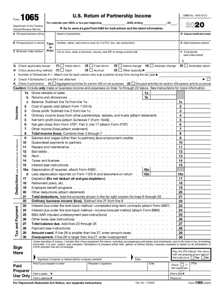 form 1065 2020 Preview on Page 1