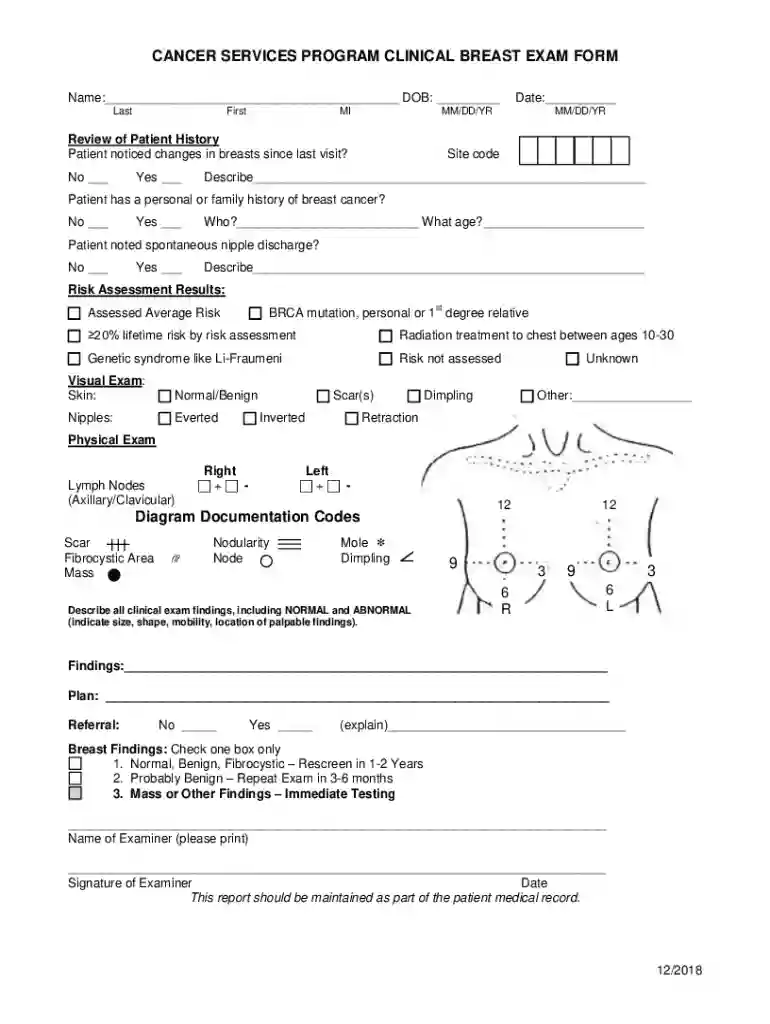 clinical breast exam form Preview on Page 1