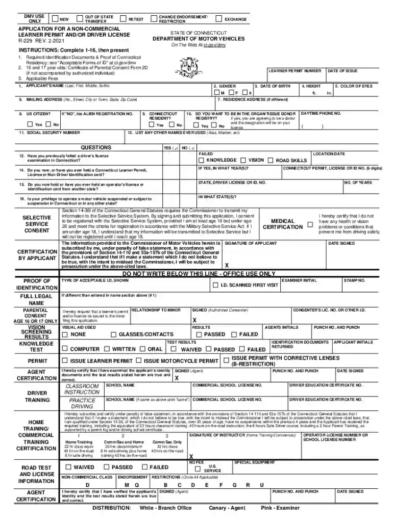 r229 application Preview on Page 1