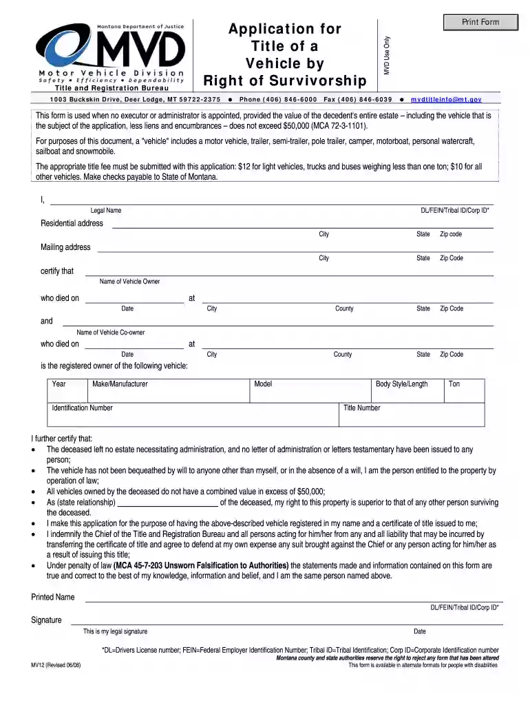 mv12 form Preview on Page 1