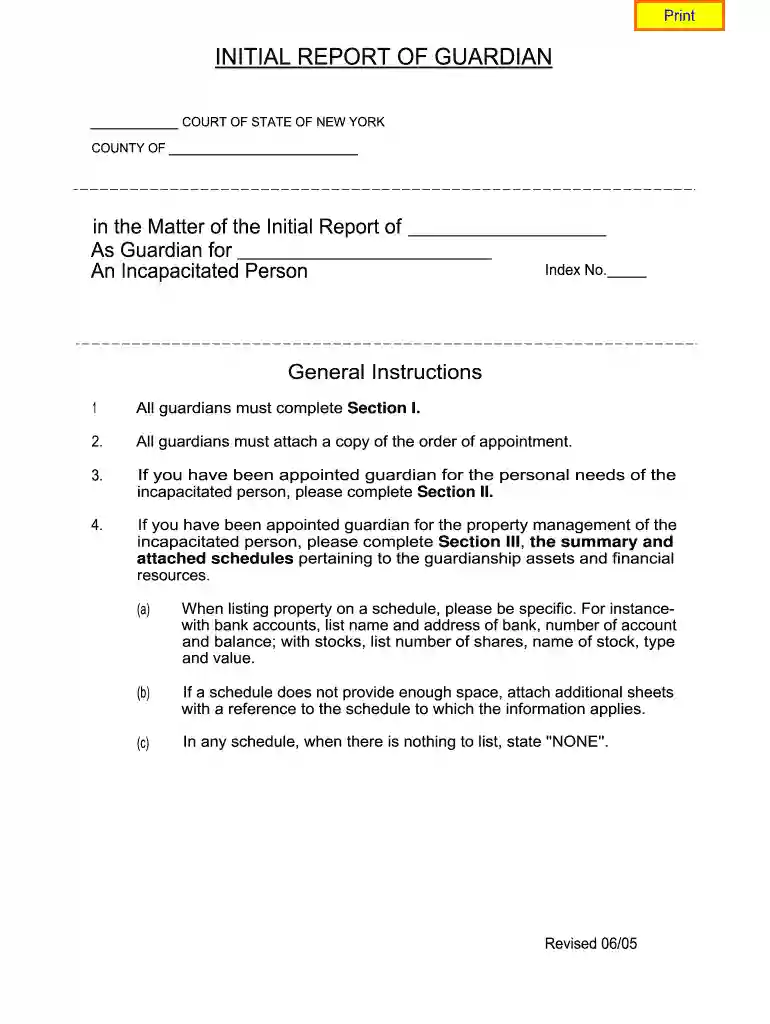 initial report of guardian new york 2005 form Preview on Page 1